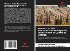 Portada del libro de Minerals of the Montebrasite-Ambligonite Series of the El Quemado District.