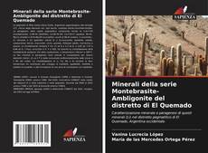 Portada del libro de Minerali della serie Montebrasite-Ambligonite del distretto di El Quemado
