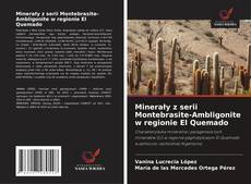 Copertina di Minerały z serii Montebrasite-Ambligonite w regionie El Quemado