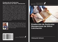 Copertina di Producción de Partículas Mesoporosas de Sílice: Calcinación