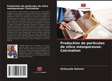 Borítókép a  Production de particules de silice mésoporeuse: Calcination - hoz