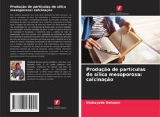Capa do livro de Produção de partículas de sílica mesoporosa: calcinação 