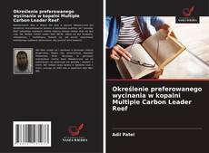 Określenie preferowanego wycinania w kopalni Multiple Carbon Leader Reef kitap kapağı
