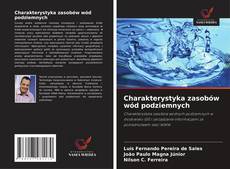 Buchcover von Charakterystyka zasobów wód podziemnych
