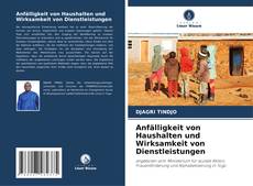Portada del libro de Anfälligkeit von Haushalten und Wirksamkeit von Dienstleistungen