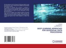 Buchcover von DEEP LEARNING APPROCHES FOR GEOSPATIAL DATA PROCESSSING