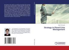 Buchcover von Strategy in Flood Crisis Management