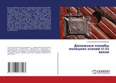 Portada del libro de Денежные пломбы полоцких князей XI-XII веков