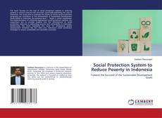 Capa do livro de Social Protection System to Reduce Poverty in Indonesia 