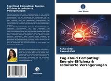 Fog-Cloud Computing: Energie-Effizienz & reduzierte Verzögerungen kitap kapağı