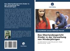 Das Oberlandesgericht Zinder in der Verwaltung von Minderjährigen kitap kapağı