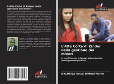 Обложка L'Alta Corte di Zinder nella gestione dei minori