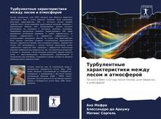 Bookcover of Турбулентные характеристики между лесом и атмосферой