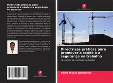 Bookcover of Directrizes práticas para promover a saúde e a segurança no trabalho