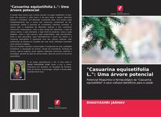 Bookcover of "Casuarina equisetifolia L.": Uma árvore potencial