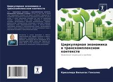 Bookcover of Циркулярная экономика в транскомплексном контексте