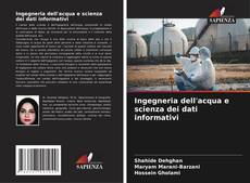 Bookcover of Ingegneria dell'acqua e scienza dei dati informativi