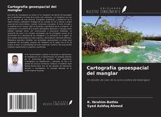 Buchcover von Cartografía geoespacial del manglar