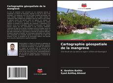 Portada del libro de Cartographie géospatiale de la mangrove