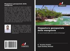 Buchcover von Mappatura geospaziale delle mangrovie