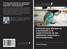 Capa do livro de Factores que afectan al crecimiento y la supervivencia de las pequeñas empresas y microempresas 