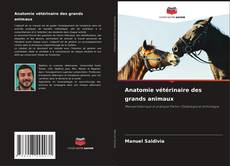 Bookcover of Anatomie vétérinaire des grands animaux