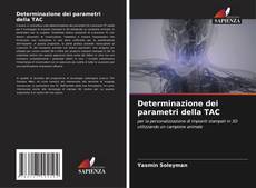 Buchcover von Determinazione dei parametri della TAC