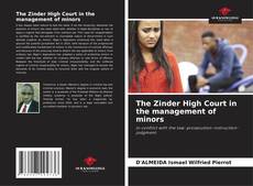 Buchcover von The Zinder High Court in the management of minors