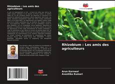 Rhizobium : Les amis des agriculteurs的封面