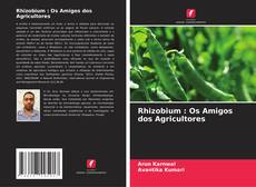 Bookcover of Rhizobium : Os Amigos dos Agricultores