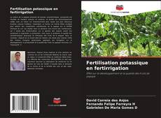 Buchcover von Fertilisation potassique en fertirrigation