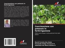 Bookcover of Concimazione con potassio in fertirrigazione