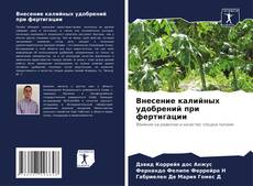 Capa do livro de Внесение калийных удобрений при фертигации 