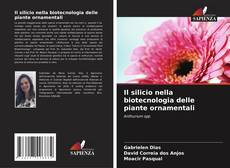 Buchcover von Il silicio nella biotecnologia delle piante ornamentali