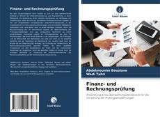 Capa do livro de Finanz- und Rechnungsprüfung 