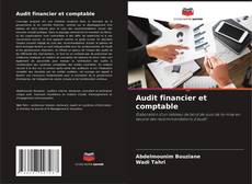 Capa do livro de Audit financier et comptable 