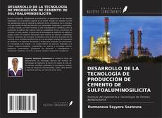 Capa do livro de DESARROLLO DE LA TECNOLOGÍA DE PRODUCCIÓN DE CEMENTO DE SULFOALUMINOSILICITA 
