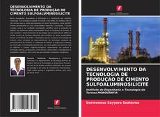DESENVOLVIMENTO DA TECNOLOGIA DE PRODUÇÃO DE CIMENTO SULFOALUMINOSILICITE kitap kapağı
