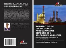 Bookcover of SVILUPPO DELLA TECNOLOGIA DI PRODUZIONE DEL CEMENTO CON SOLFOALUMINOSILICITE