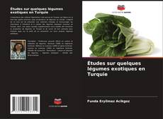 Buchcover von Études sur quelques légumes exotiques en Turquie