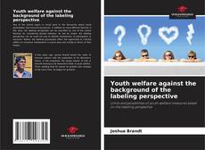 Capa do livro de Youth welfare against the background of the labeling perspective 