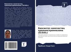 Buchcover von Биосинтез наночастиц кремния/кремнезема (Si/SiO₂)