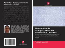 Bookcover of Biossíntese de nanopartículas de silício/sílica (Si/SiO₂)