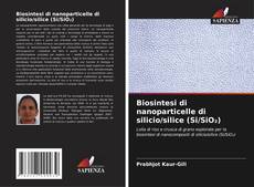 Biosintesi di nanoparticelle di silicio/silice (Si/SiO₂) kitap kapağı