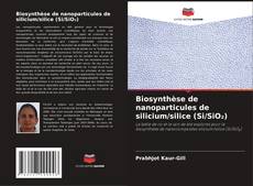 Buchcover von Biosynthèse de nanoparticules de silicium/silice (Si/SiO₂)