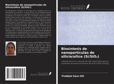 Capa do livro de Biosíntesis de nanopartículas de silicio/sílice (Si/SiO₂) 