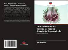 Une thèse sur les nouveaux modes d'exploitation agricole kitap kapağı