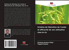 Copertina di Schéma de libération de l'azote et efficacité de son utilisation chez le riz
