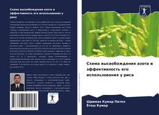 Capa do livro de Схема высвобождения азота и эффективность его использования у риса 