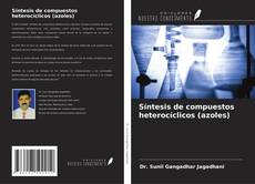 Bookcover of Síntesis de compuestos heterocíclicos (azoles)